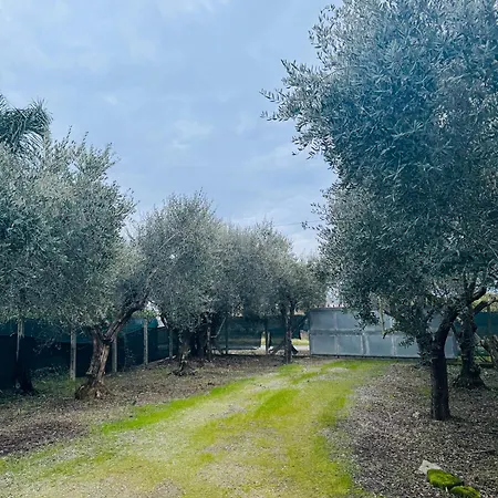 Holiday home La Perla Di Dea *
