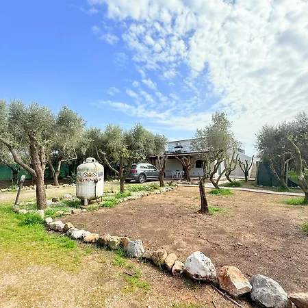 La Perla Di Dea